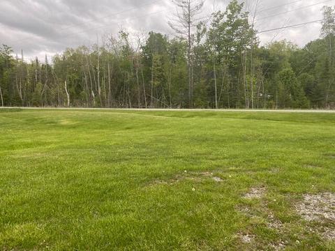 3760 Big Maple Rd, Spruce, MI 48762 photo 10