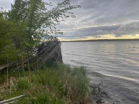 3760 Big Maple Rd, Spruce, MI 48762 photo 8