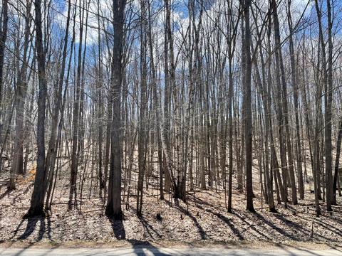 6422 Foothills Trl, Gaylord, MI 49735