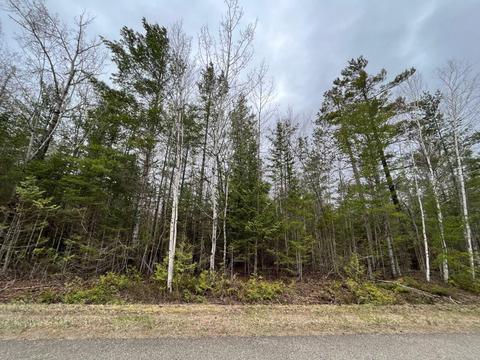 kauffman road LOT S 258, Presque Isle, MI 49777