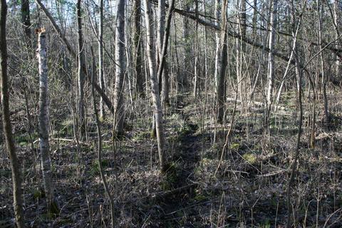 18 Acres M-65, Twining, MI 48766 photo 9