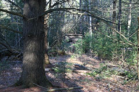 18 Acres M-65, Twining, MI 48766 photo 13