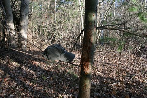 18 Acres M-65, Twining, MI 48766 photo 14
