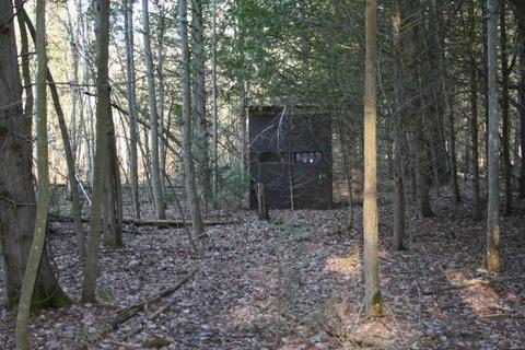 18 Acres M-65, Twining, MI 48766 photo 12