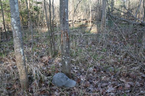 18 Acres M-65, Twining, MI 48766 photo 15