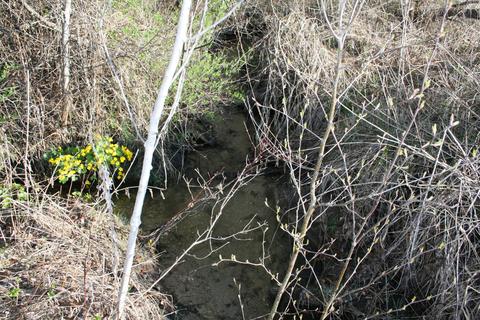 18 Acres M-65, Twining, MI 48766 photo 3
