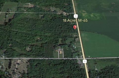 18 Acres M-65, Twining, MI 48766 photo 18