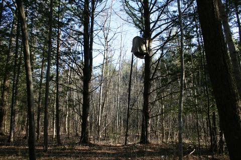 18 Acres M-65, Twining, MI 48766 photo 11