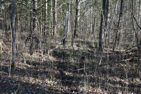18 Acres M-65, Twining, MI 48766 photo 10