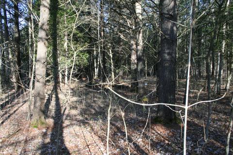18 Acres M-65, Twining, MI 48766 photo 5