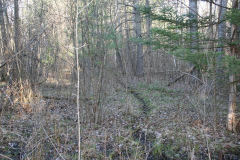 18 Acres M-65, Twining, MI 48766 photo 8