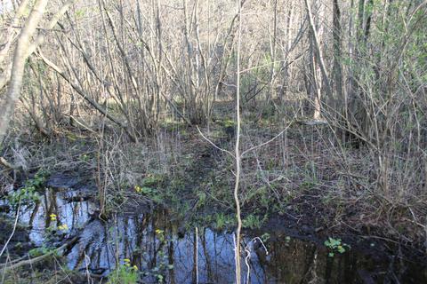 18 Acres M-65, Twining, MI 48766 photo 7
