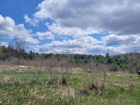 Vl Hilts Road, Gladwin, MI 48624