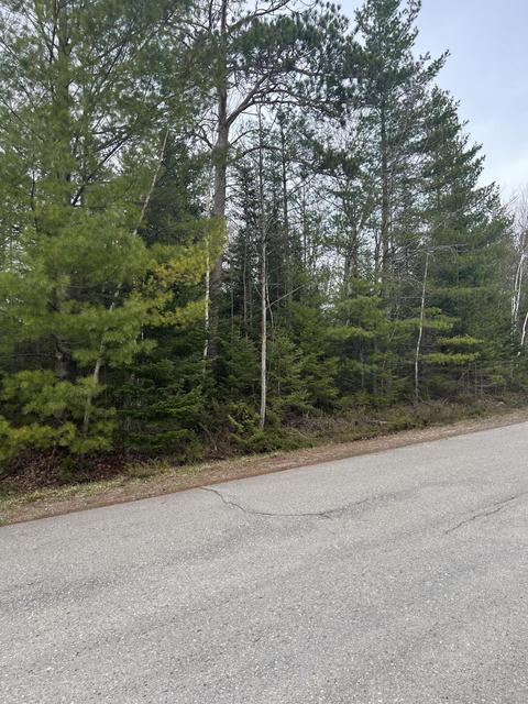 kauffman road LOT S 293 & 294, Presque Isle, MI 49777
