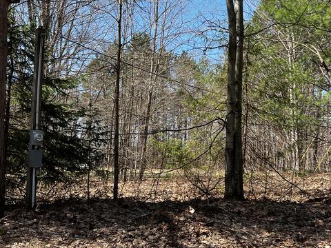 4824 Soderquist Rd, Mancelona, MI 49659 photo 6