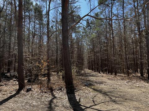 4824 Soderquist Rd, Mancelona, MI 49659 photo 21