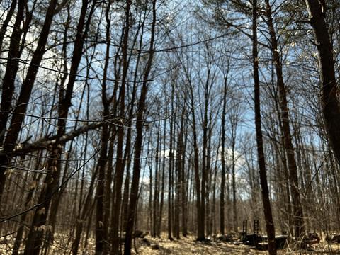 4824 Soderquist Rd, Mancelona, MI 49659 photo 13
