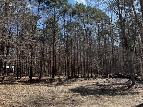 4824 Soderquist Rd, Mancelona, MI 49659 photo 22