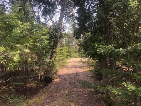 1498 E Huron Avenue Lot 43 106 X 514 Bois Blanc Mi 49775 Ave #LOT 43 106 'X 514', Bois Blanc, MI 49775