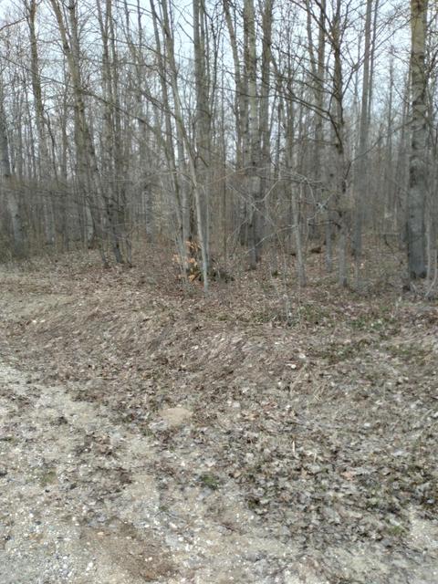 lot417 Skytrails Drive Mancelona Mi 49659 Dr, Mancelona, MI 49659