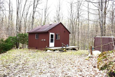 9367 Holiday Rd, Wolverine, MI 49799