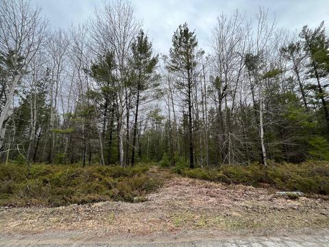 363 364 Whitesand Dr, Presque Isle, MI 49777