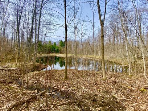 Canby Road, Levering, MI 49755
