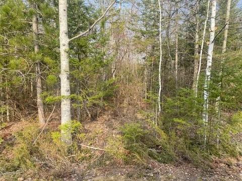 lot Apt 212 Timberway Ct, Presque Isle, MI 49777