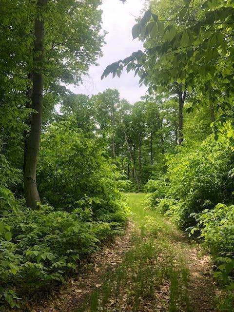 Lime Kiln Point Drive, Bois Blanc, MI 49775