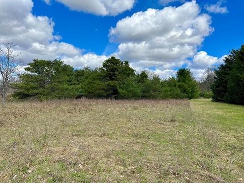 lot3 County Road 612, Lewiston, MI 49756