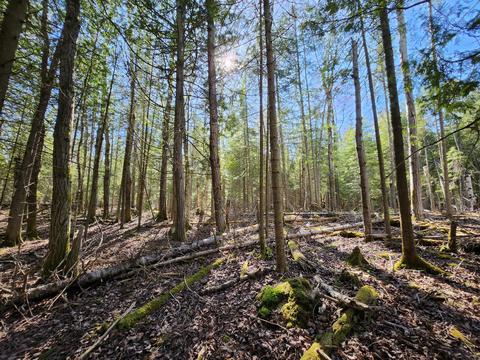 E Huron Drive, Bois Blanc, MI 49775