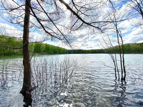 lot65 Leelanau Trail 072-300-000-065-00 Gaylord Mi 49735 Trl #072-300-000-065-00, Gaylord, MI 49735