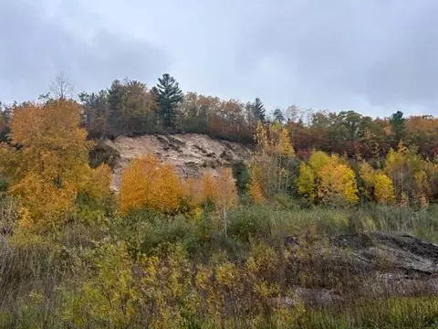 8 Us 23 #8 ACRES, Black River, MI 48721