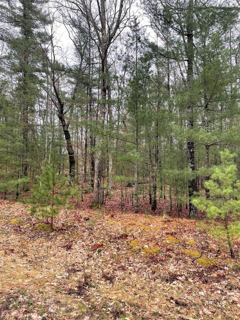 Wintree Drive, Indian River, MI 49749