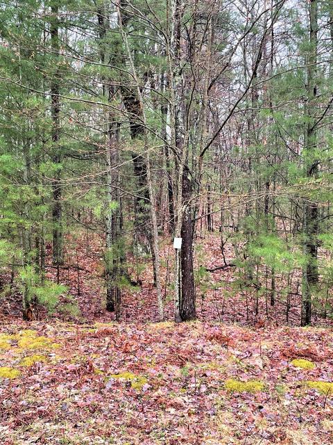 Wintree Drive, Indian River, MI 49749