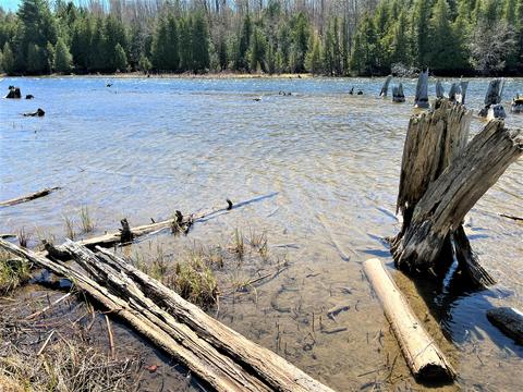 Off River Edge Drive #PARCEL 9, Cheboygan, MI 49721