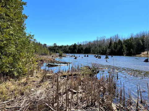 Off River Edge Drive #PARCEL 7, Cheboygan, MI 49721