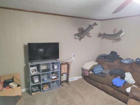 308 N Eastern Ave, Cheboygan, MI 49721 photo 5