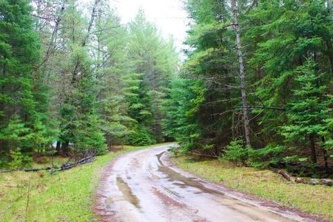 11227 Red Pine Drive Grayling Mi 49738 Dr, Grayling, MI 49738 photo 7