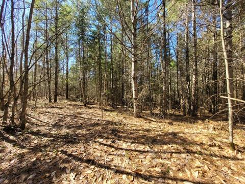 Bates Road, Ocqueoc, MI 49759