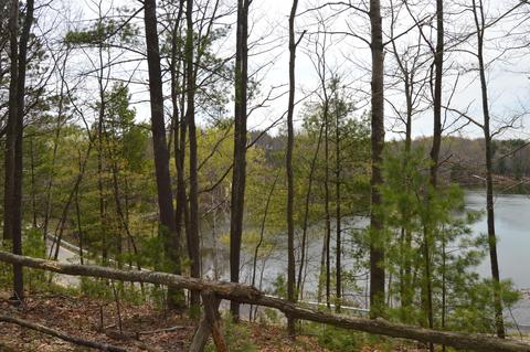 2081 E Helmer Lake Road Fairview Mi 48621 Rd, Fairview, MI 48621 photo 2