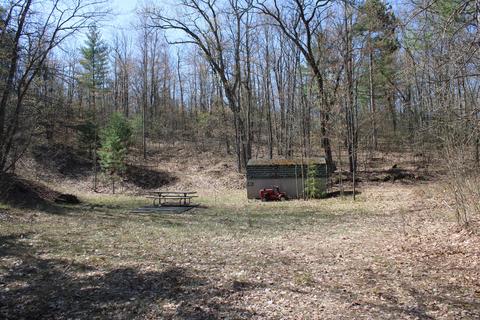 Demott Court, Mio, MI 48647