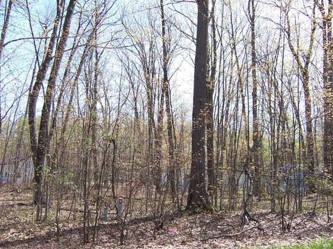 lot62 Maplewood Drive Roscommon Mi 48653 Dr, Roscommon, MI 48653