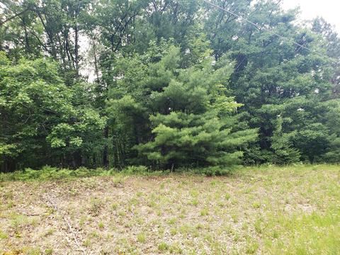 2840 E Mullett Lake Road Lot 6 Indian River Mi 49749 Rd #LOT 6, Indian River, MI 49749