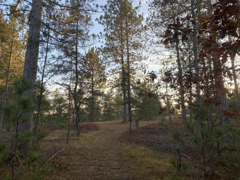 4821 E North Down River Rd, Grayling, MI 49738 photo 15