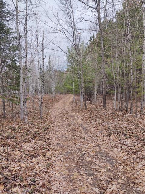 M68/33 Highway, Onaway, MI 49765