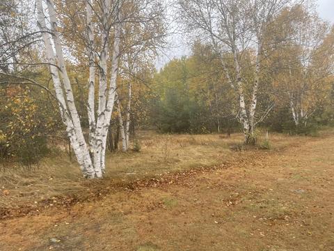 15358 Par 4 Drive Wolverine Mi 49799 Dr, Wolverine, MI 49799