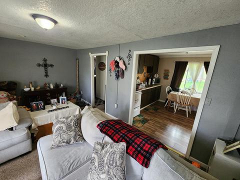 409 12th Street Mio Mi 48647 St, Mio, MI 48647 photo 10
