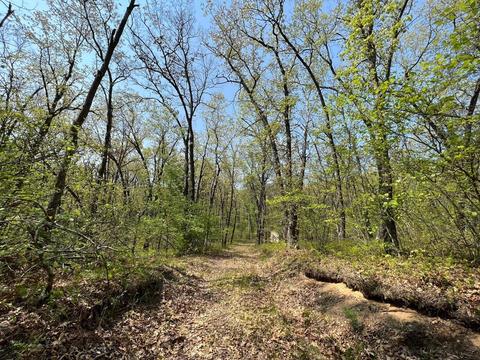W Reilly Road, Houghton Lake, MI 48629