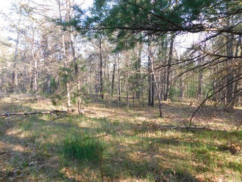Abitibi Lane, Grayling, MI 49738 photo 16